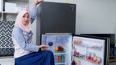 Cara Setting Kulkas Samsung Digital Inverter