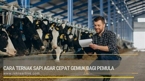 Cara Ternak