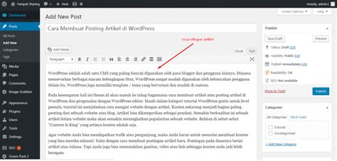 Cara Mengoptimalkan Artikel di WordPress