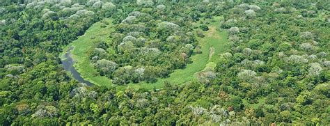 Carara National Park Tips