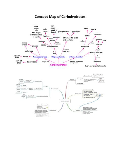 STPM Carbohydrates Concept Map