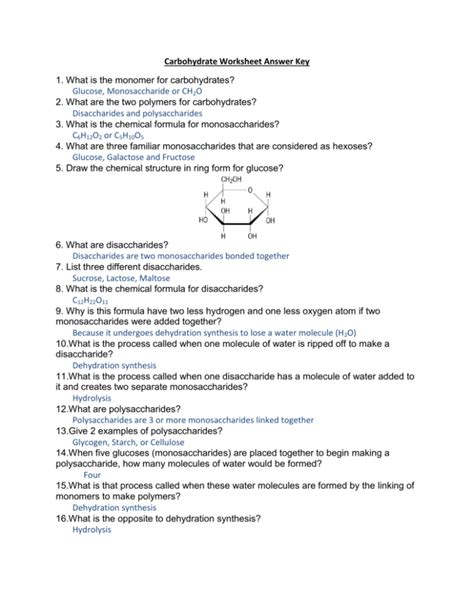 Carbohydrates Worksheet Answer Key