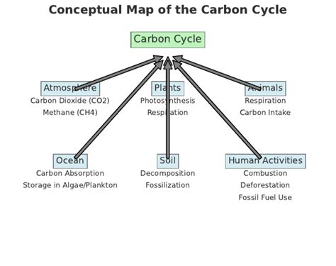 The Carbon Cycle and Climate Change NSTA