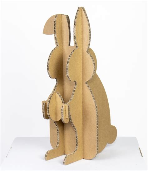Cardboard