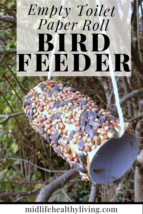 Cardboard Tube Bird Feeder
