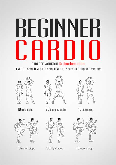 Cardio Workout For Beginners