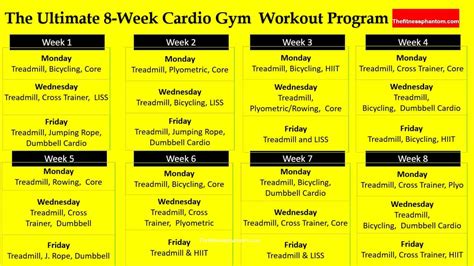 Cardio Workout Programs