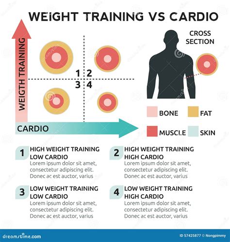 Cardio Workout Vs Weight Training