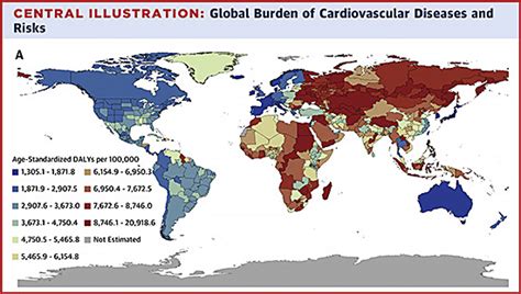 Figure 19 from Global Burden of Cardiovascular Disease Semantic Scholar