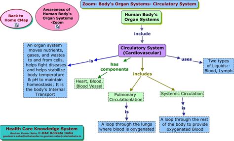Circulatory System Concept Map World Map Gray