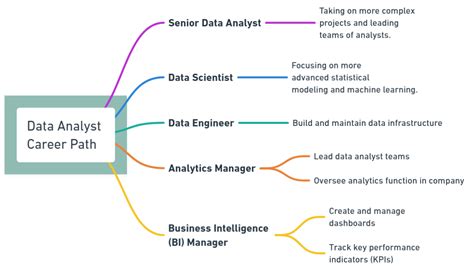 Career Path For A Data Analyst