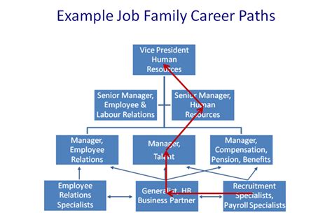 Career paths within job families