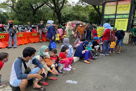 Cari Tahu Harga Tiket Masuk Ragunan Mei 2022!