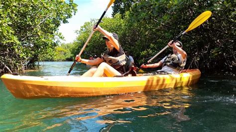 Caribbean Wild