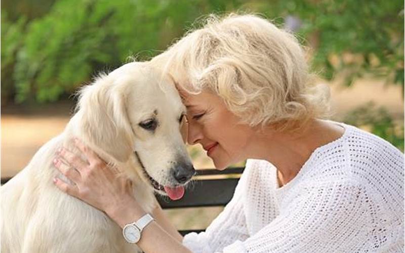 Caring For Your Aging Pet