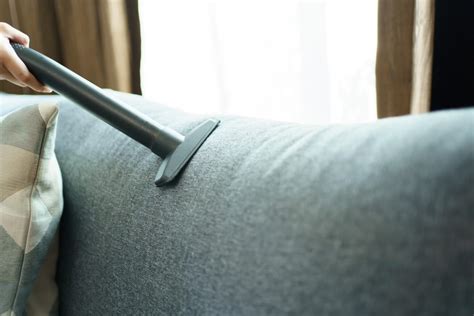 Caring for Your Masterpiece: Longevity Tips