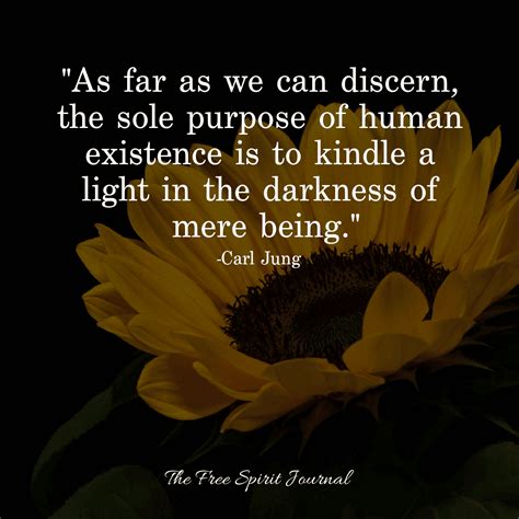 Carl Jung Shadow Quotes