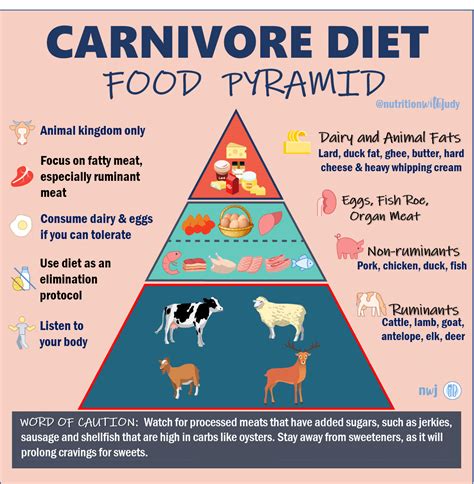 Carnivore Diet Food Pyramid