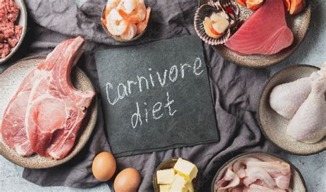 Carnivore Diet Ulcerative Colitis