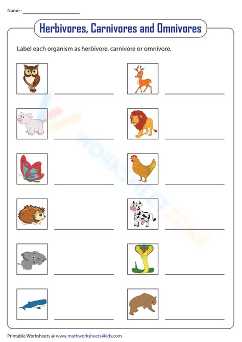 Carnivore Herbivore Omnivore Worksheet