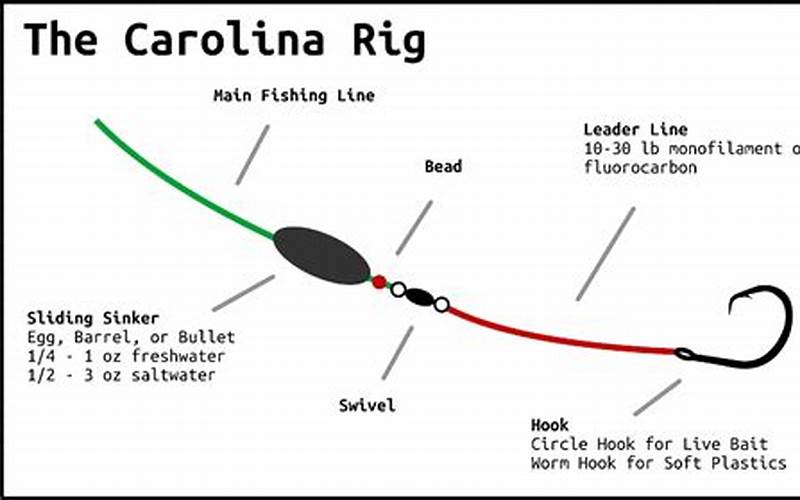 Carolina Rig Fishing