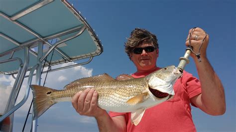 Carolina Beach Fishing Report
