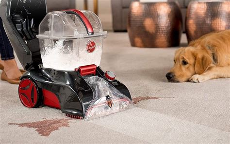 Carpet Cleaner Machine Pet Urine