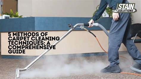 Carpet Cleaning For Dummies: A Step-by-Step Guide 