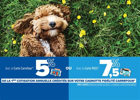 Carrefour Assurance Animaux