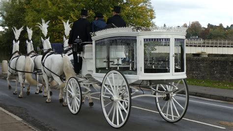 Carriage Ride Cost