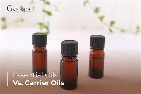 Carrier vs. Essential: Decoding Beard Oil Ingredients