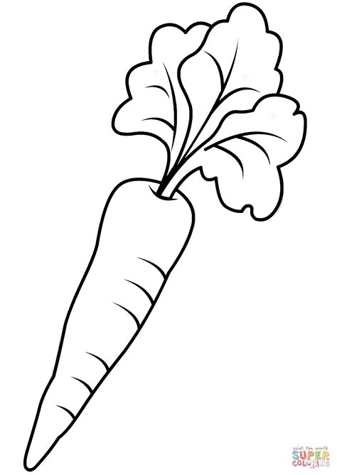 Carrot Outline Picture for Colouring