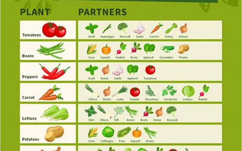 Carrots And Peas Companion Planting