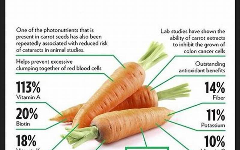 Carrots Antioxidants