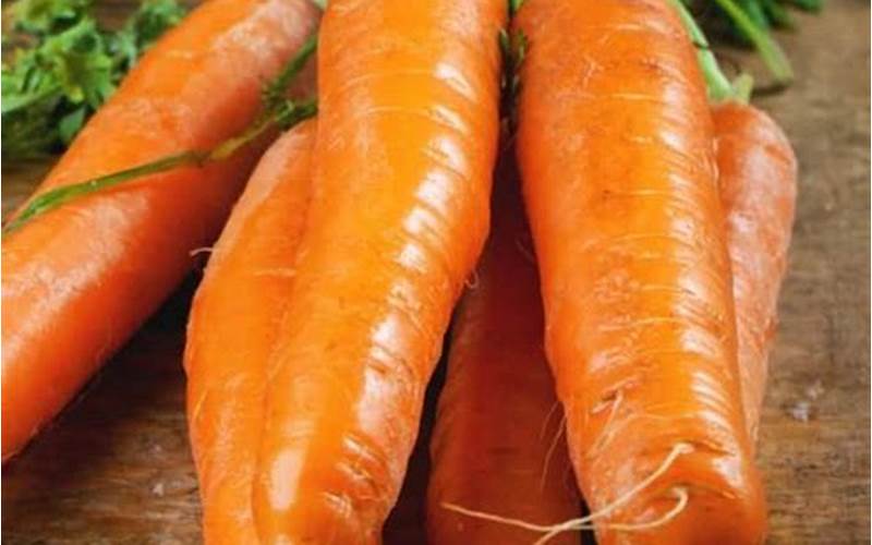 Carrots Fiber
