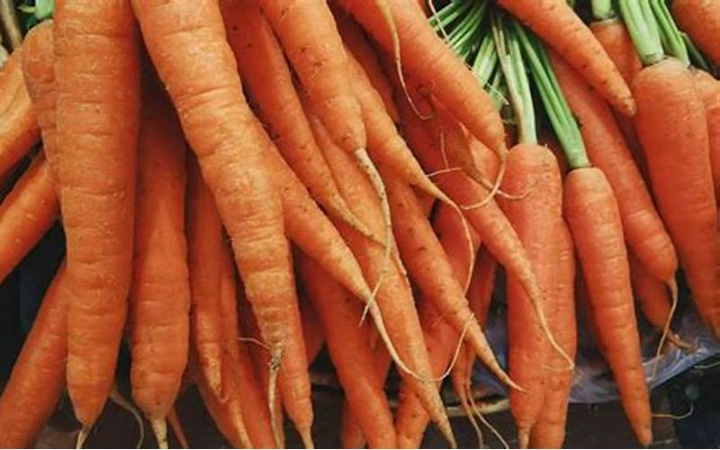 can you grow carrots in aquaponics