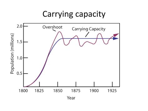Understanding the Carrying Capacity in AP Human Geography: Definition and Importance.