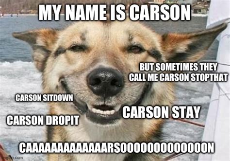 Carson Dog Meme