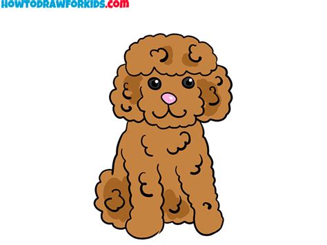 Cartoon Poodle Dog Drawing: Tips And Tricks