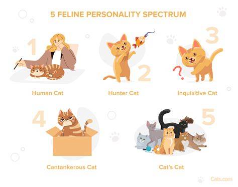 Cartoon Cat Personality Types