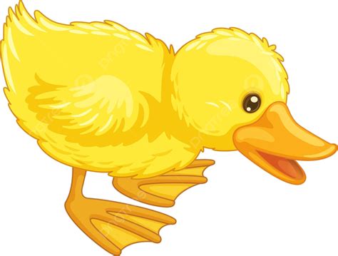 Best Duck Feet Illustrations, RoyaltyFree Vector Graphics & Clip Art