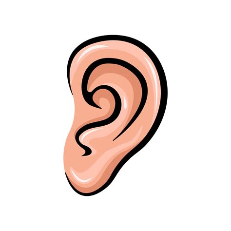 Ear Clipart Clipart Bay