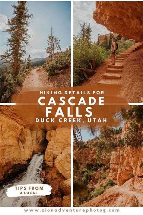 Cascade