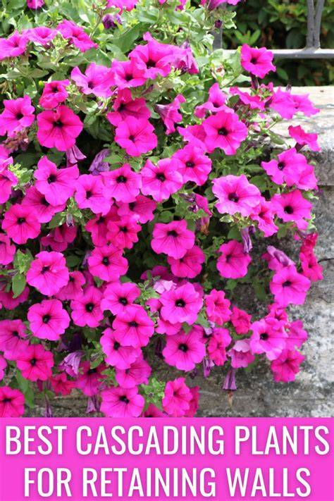 Cascading Plant