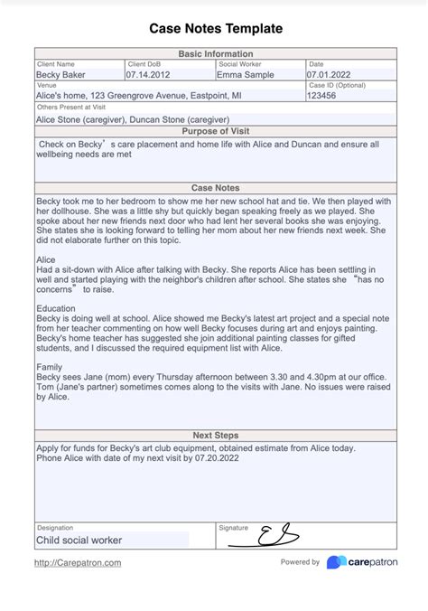 Case Management Progress Note Template Notes Template, Report Template