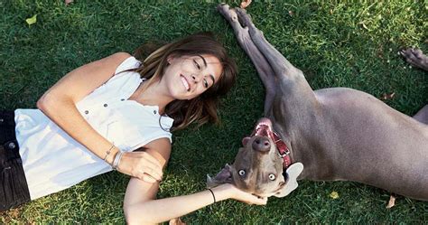 Cass County Animal Control in Cassopolis, MI: Ensuring the Welfare of Your Furry Friends