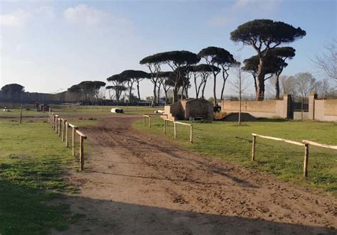 Castel Fusano wildlife