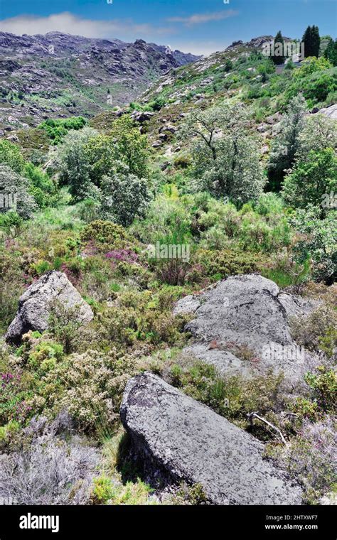 Castro Laboreiro landscape