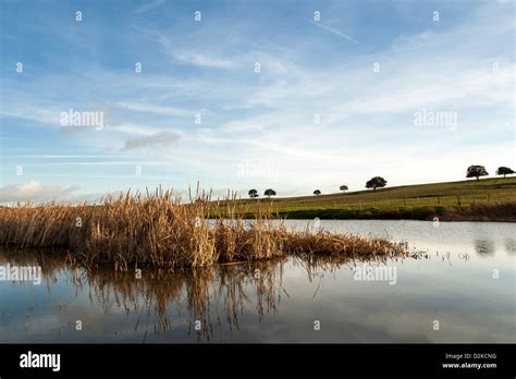 Castro Verde Landscape