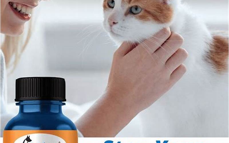 Cat Allergy Relief